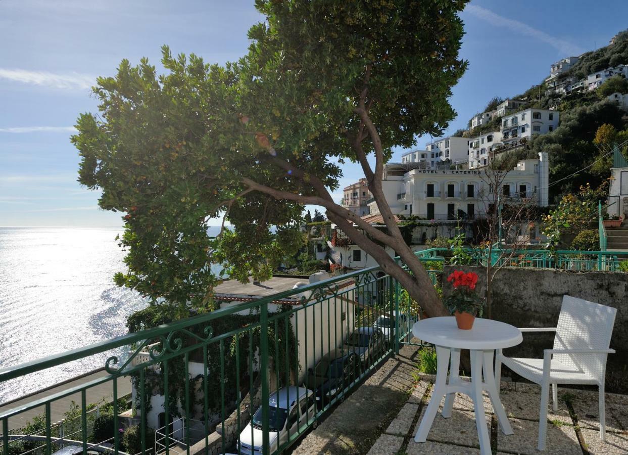 Amalfi Blue Flowers A المظهر الخارجي الصورة